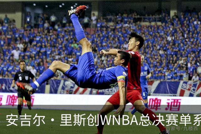 安吉尔·里斯创WNBA总决赛单系列赛篮板纪录